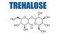 Categoria cristalina 6138-23-4 de USP do pó do edulcorante do Dihydrate de Trehalose